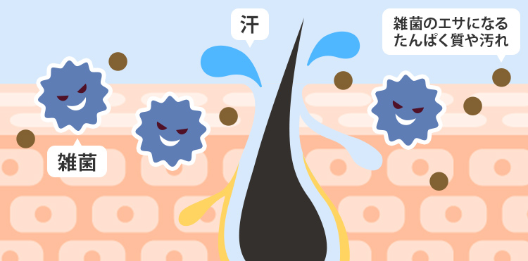 雑菌のえさになるたんぱく質や汚れ